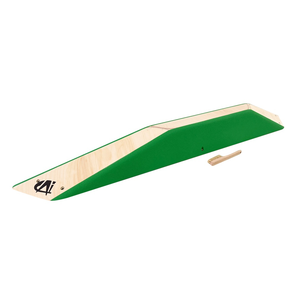 CAY0231-W6-B1