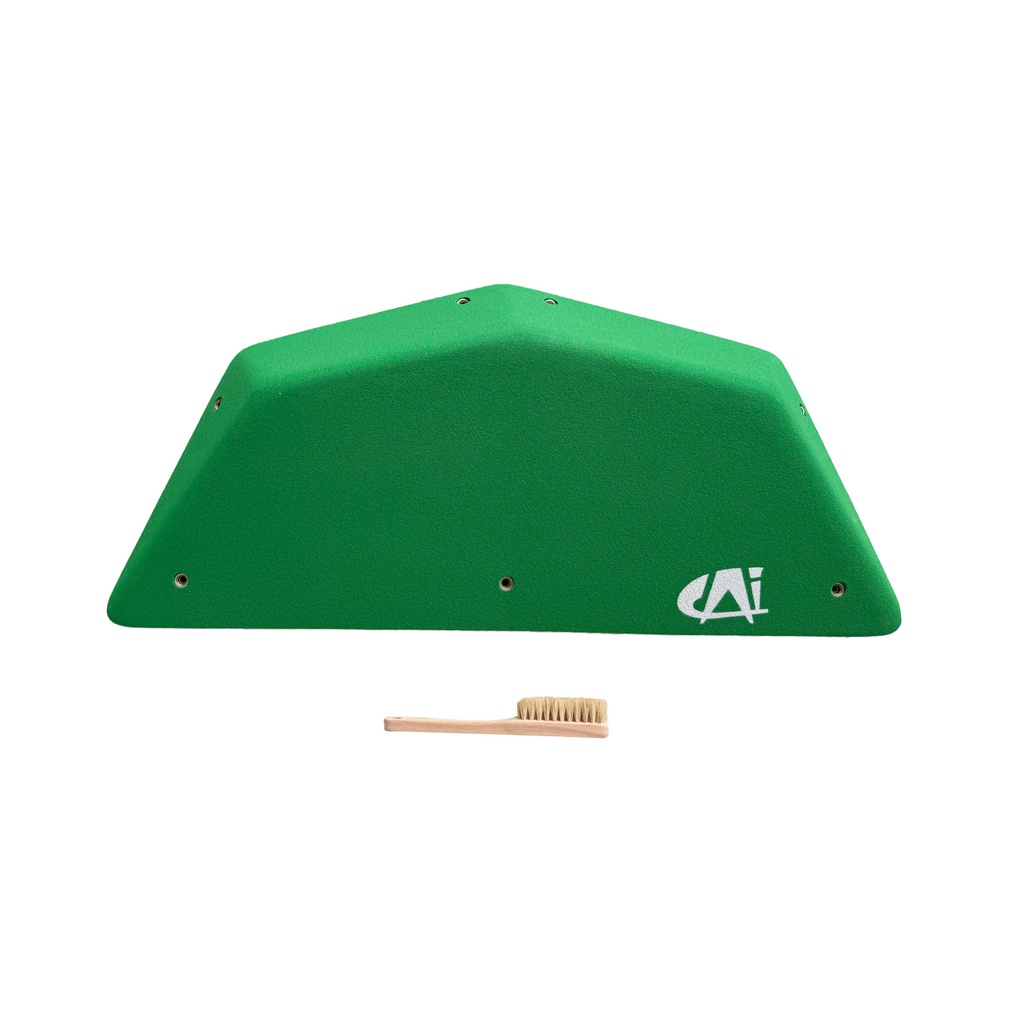 CAY0366-W5-B1